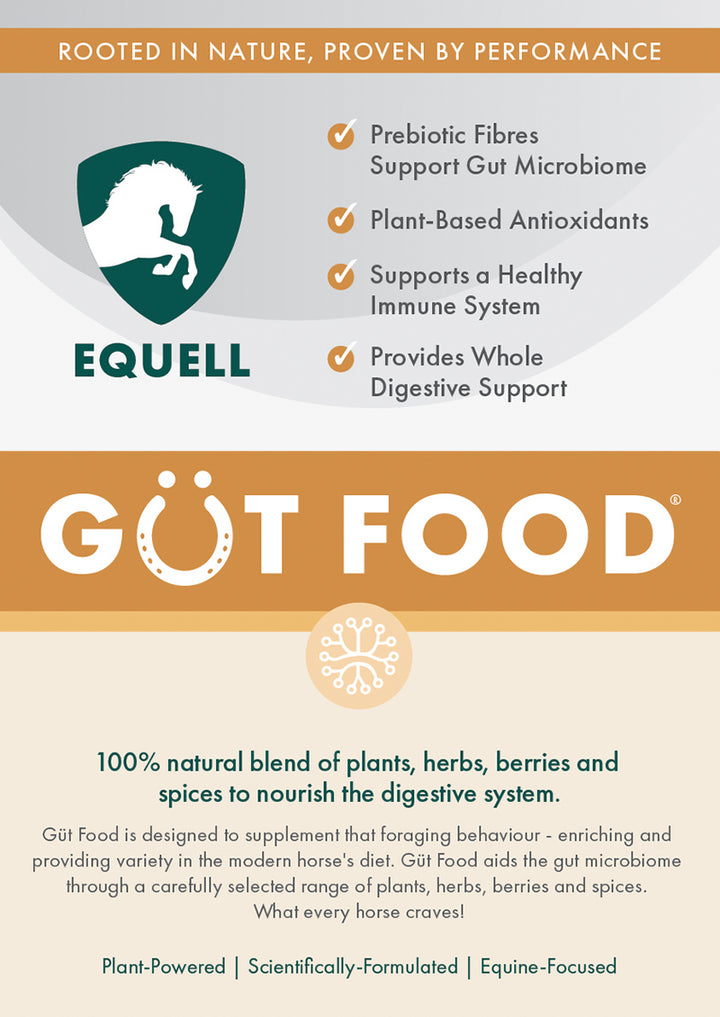 Güt Food
