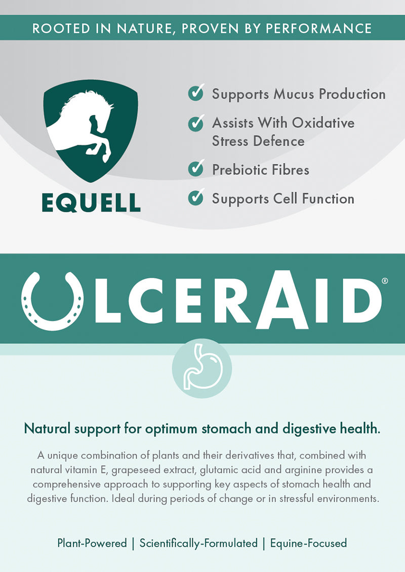 UlcerAid