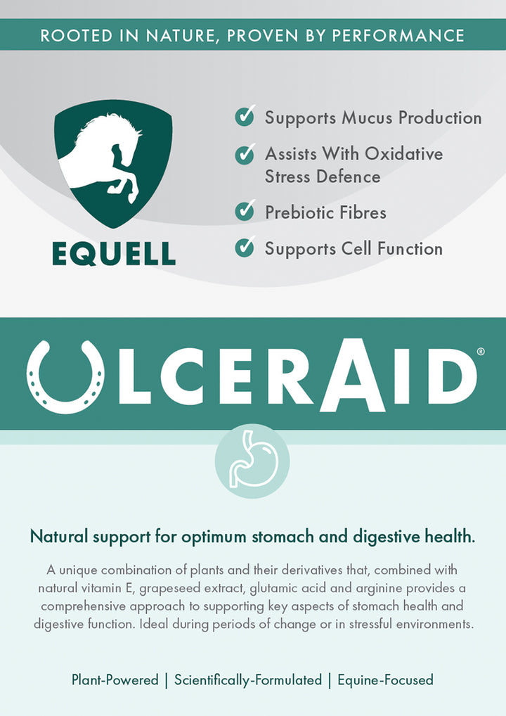 UlcerAid