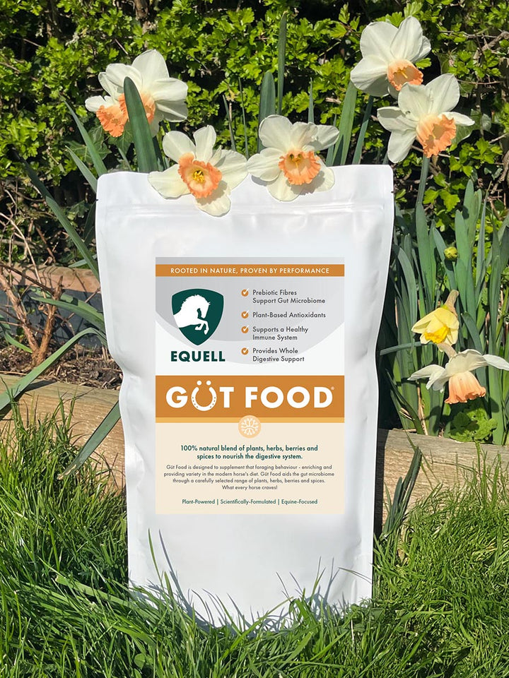 Güt Food