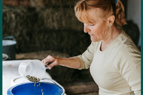 How to Get Horses to Eat Supplements: Smart Strategies for Even the Pickiest Feeders