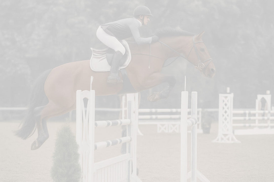 Equell is BETA NOPS Accredited: Why does this matter?
