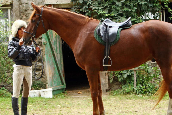 Gastric Ulcers in Horses - Causes, Signs & How to Help