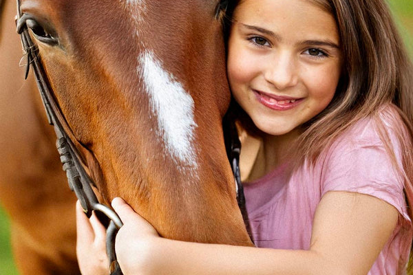 Top Tips for Bringing Your New Horse Home
