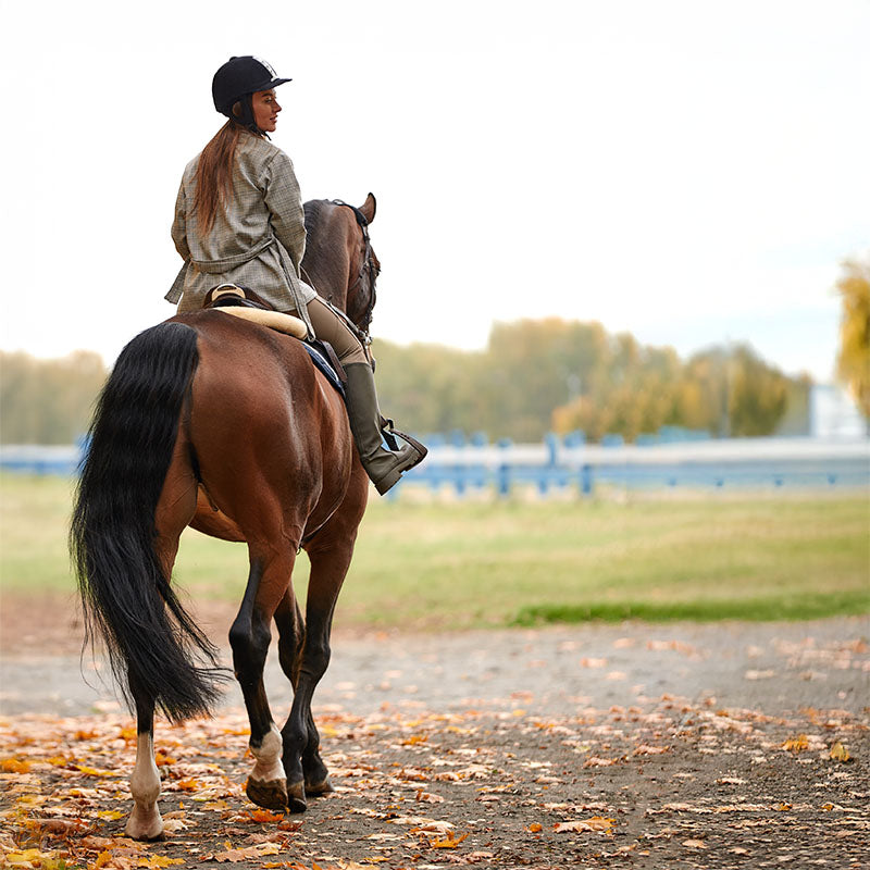 Loose Droppings in Horses & Hindgut Health