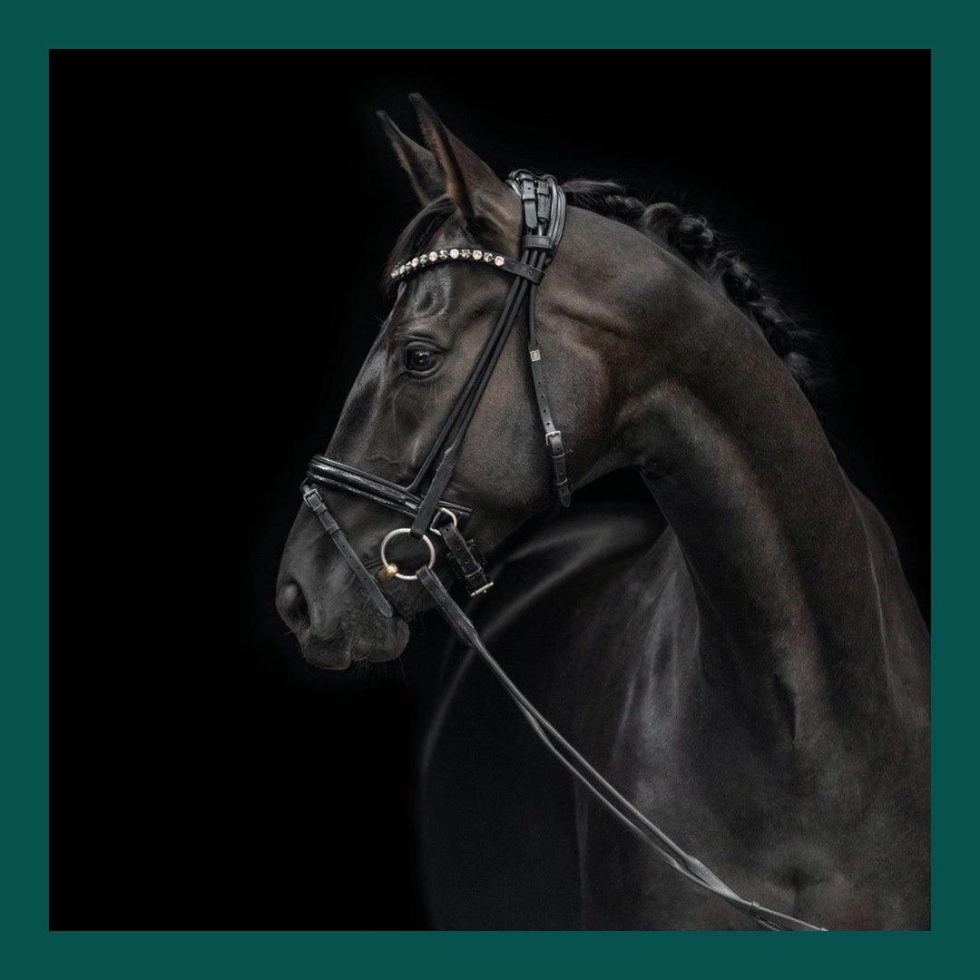 Horse Respiratory Health – Breathe Better for Peak Performance