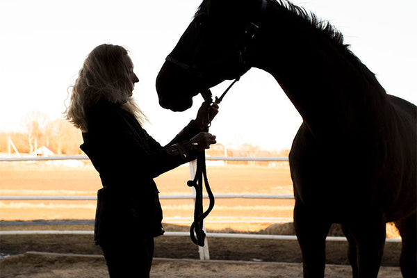 Free Radicals & Antioxidants: How They Impact Your Horse’s Health