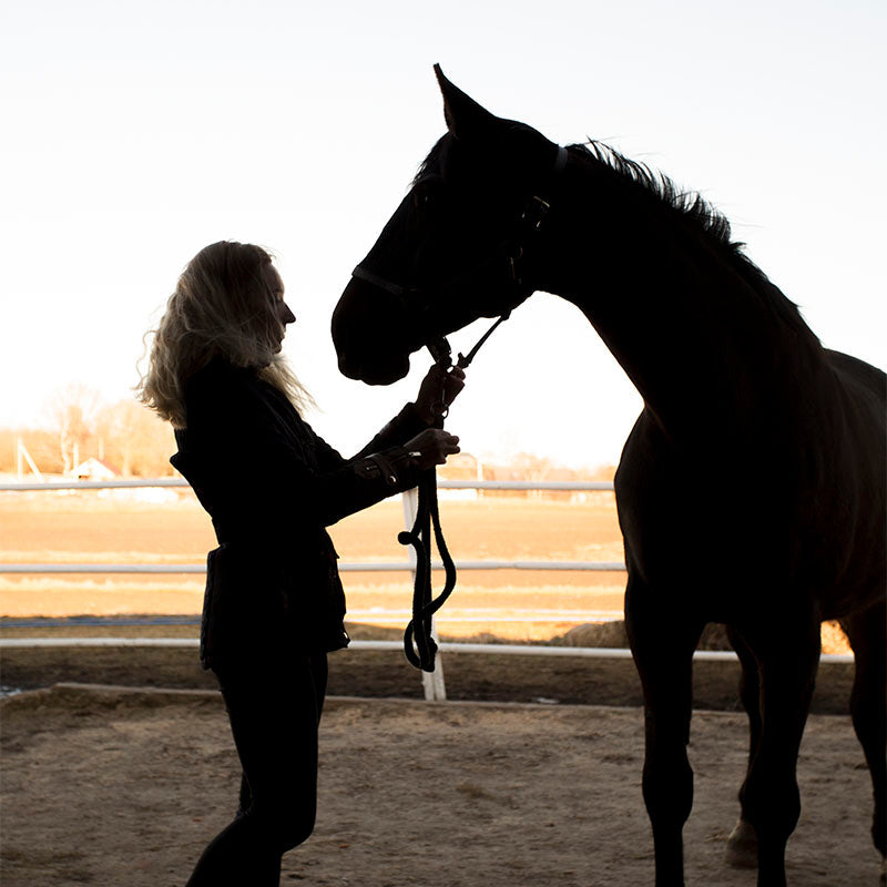 Free Radicals & Antioxidants: How They Impact Your Horse’s Health