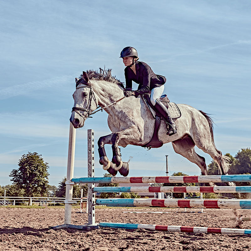 Respiratory Supplements for Horses - Natural Support