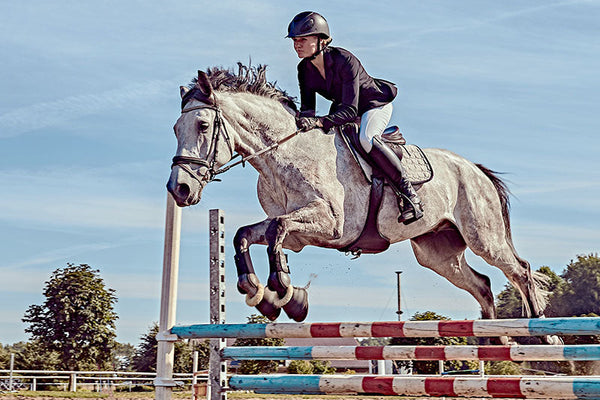 Respiratory Supplements for Horses - Natural Support