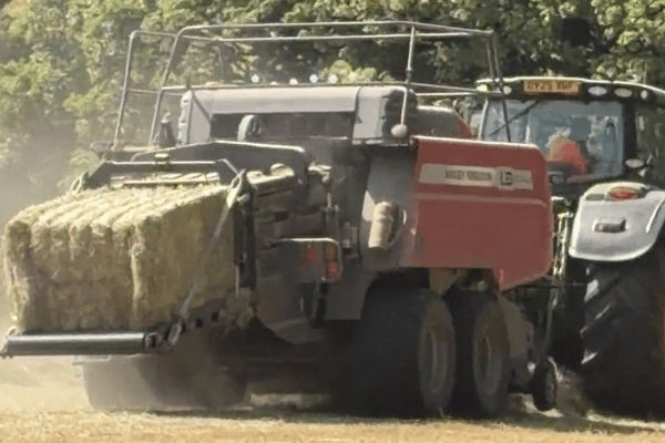 When to Feed New Hay: Should I wait six weeks before feeding?