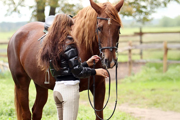 Unlocking Optimal Horse Health: The Power of Natural Supplements