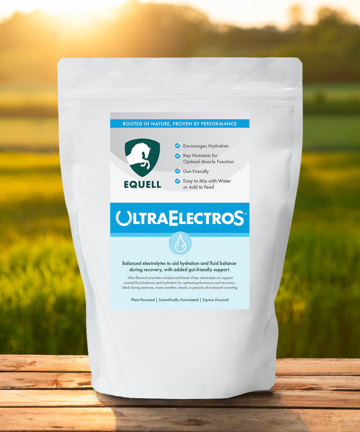 Ultra ElectroS