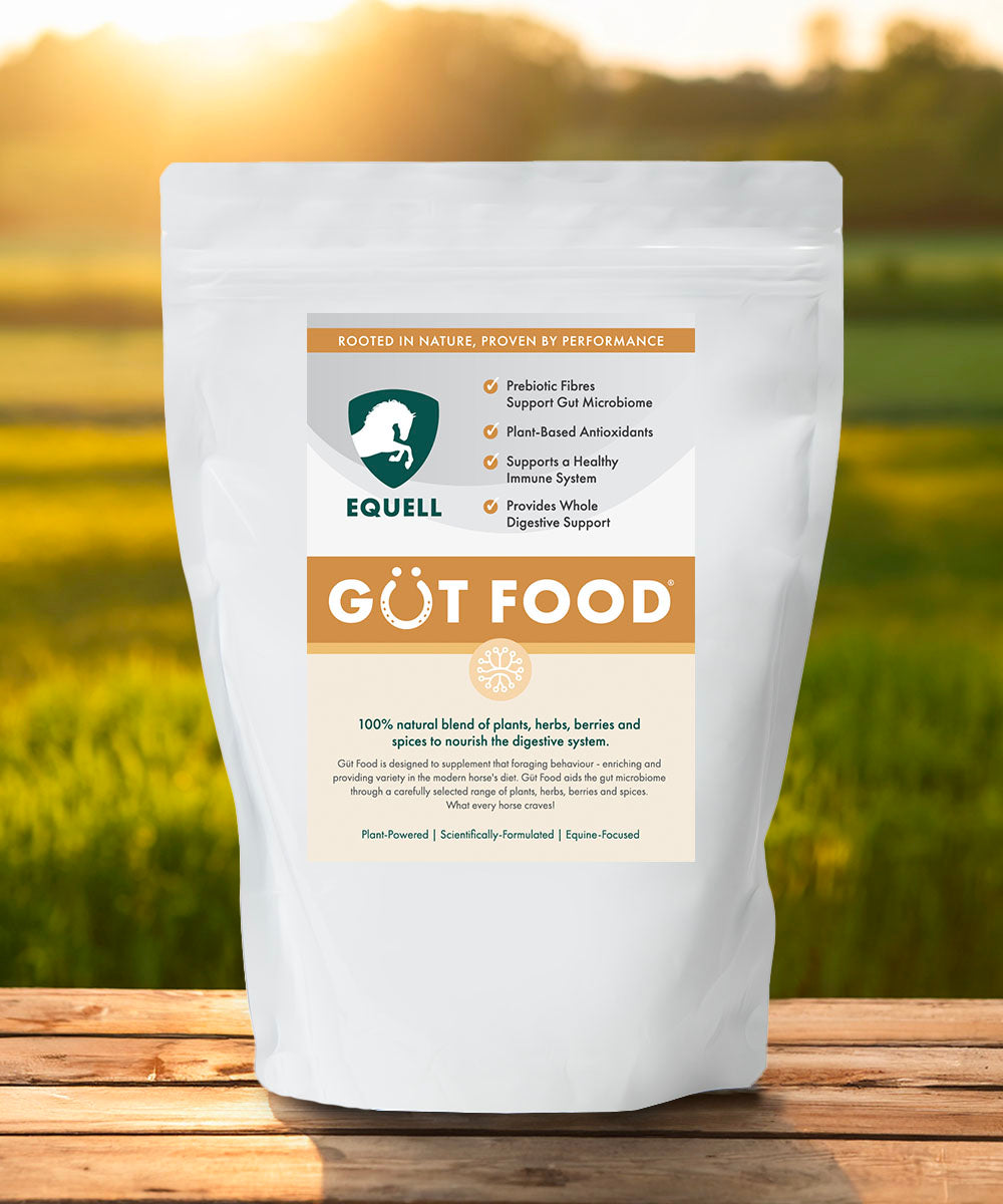 Güt Food