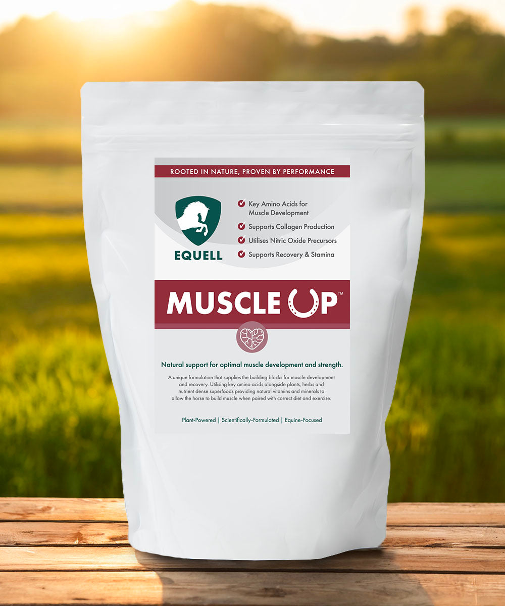 Musclup Muscle Up - Topline Supplements for horses without excess calories – Equell