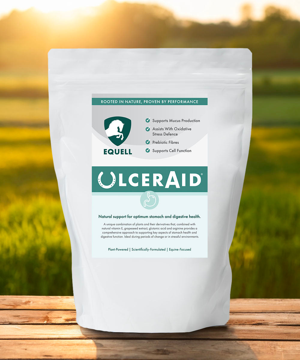 UlcerAid