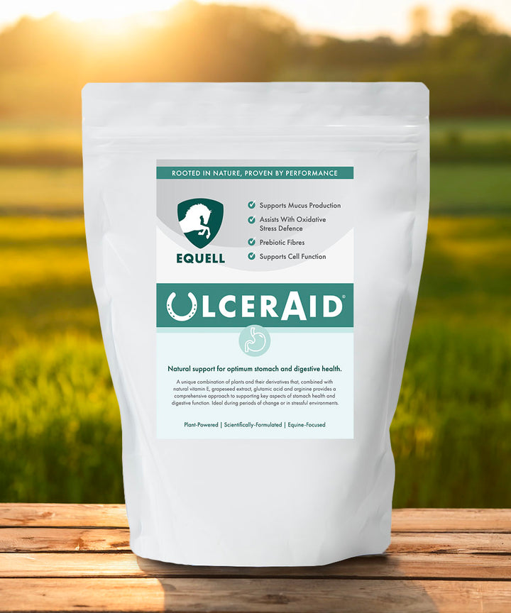 UlcerAid