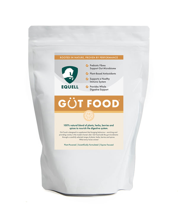Gut Food - a bag of natural Gut balancer for horses

