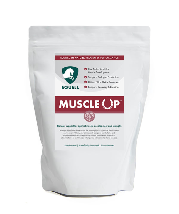 Bag of Muscle up - topline supplement for horses

