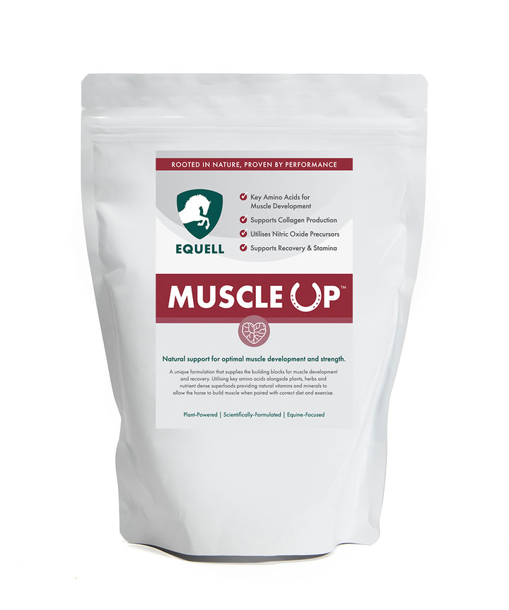 Muscle Up
