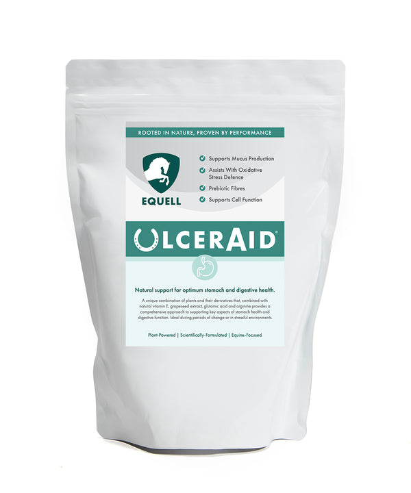 Bag of Horse Ulcer Supplements