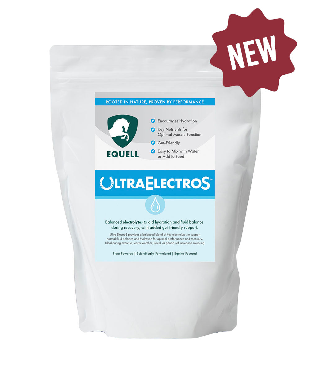 Electrolytes for horses
Best electrolytes for horses
Ulcer Safe electrolytes