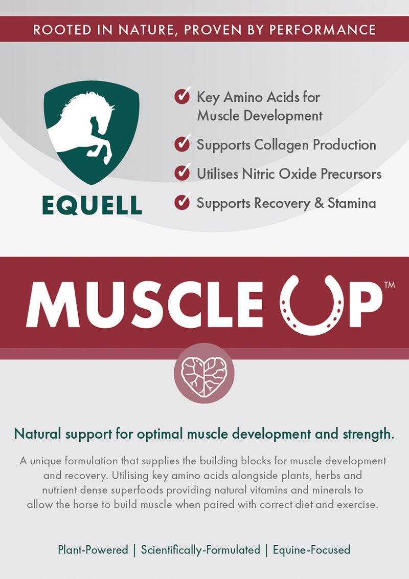Muscle Up