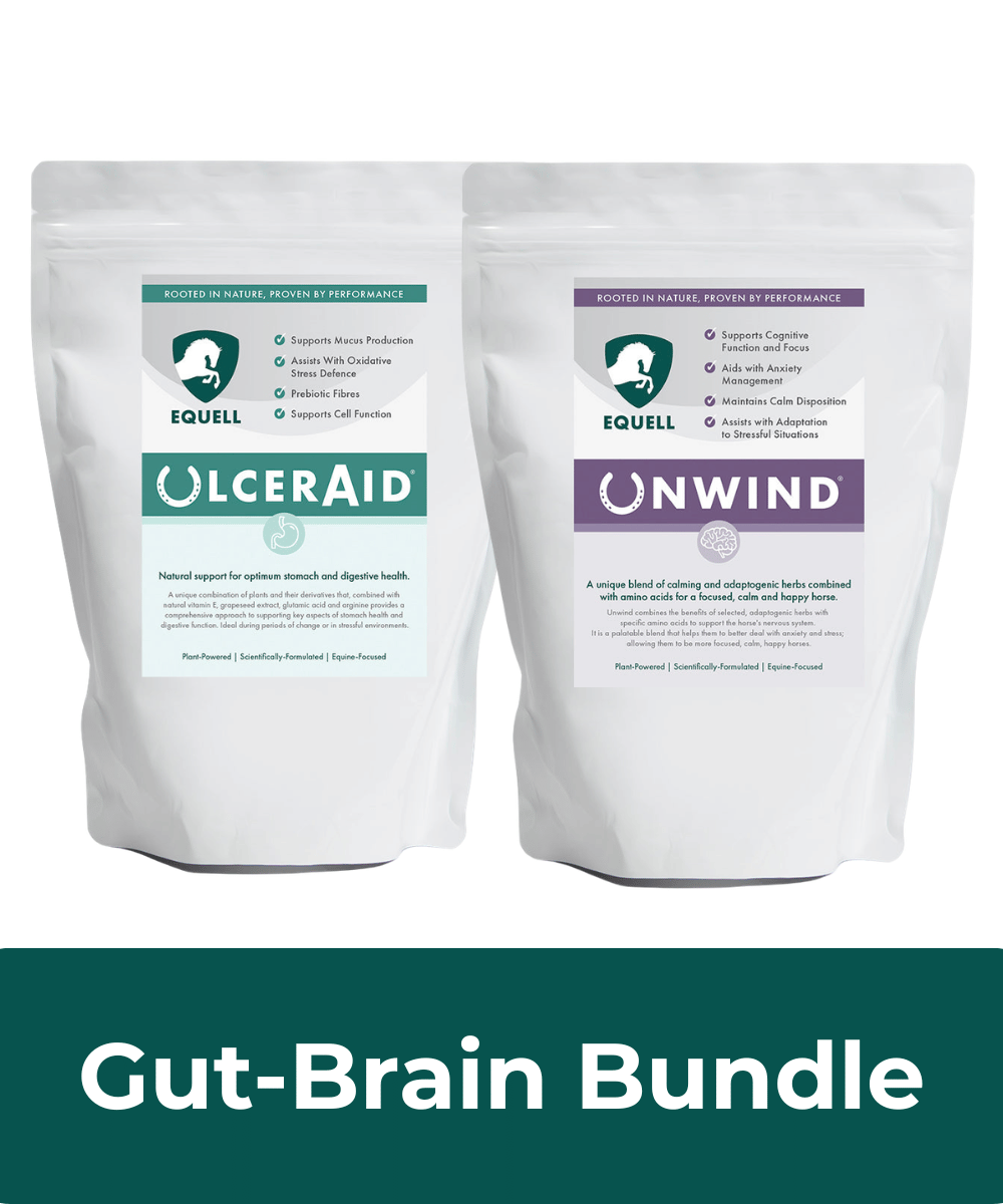 Gut Brain Duo