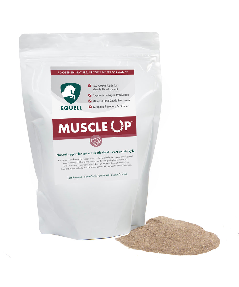 Musclup Muscle Up - Topline Supplements for horses without excess calories – Equell