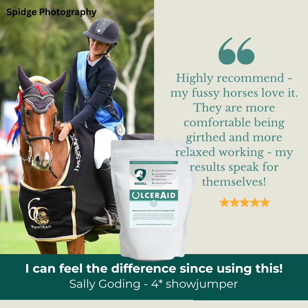 Equell UlcerAid - Advanced Horse ulcer supplement & gut balancer